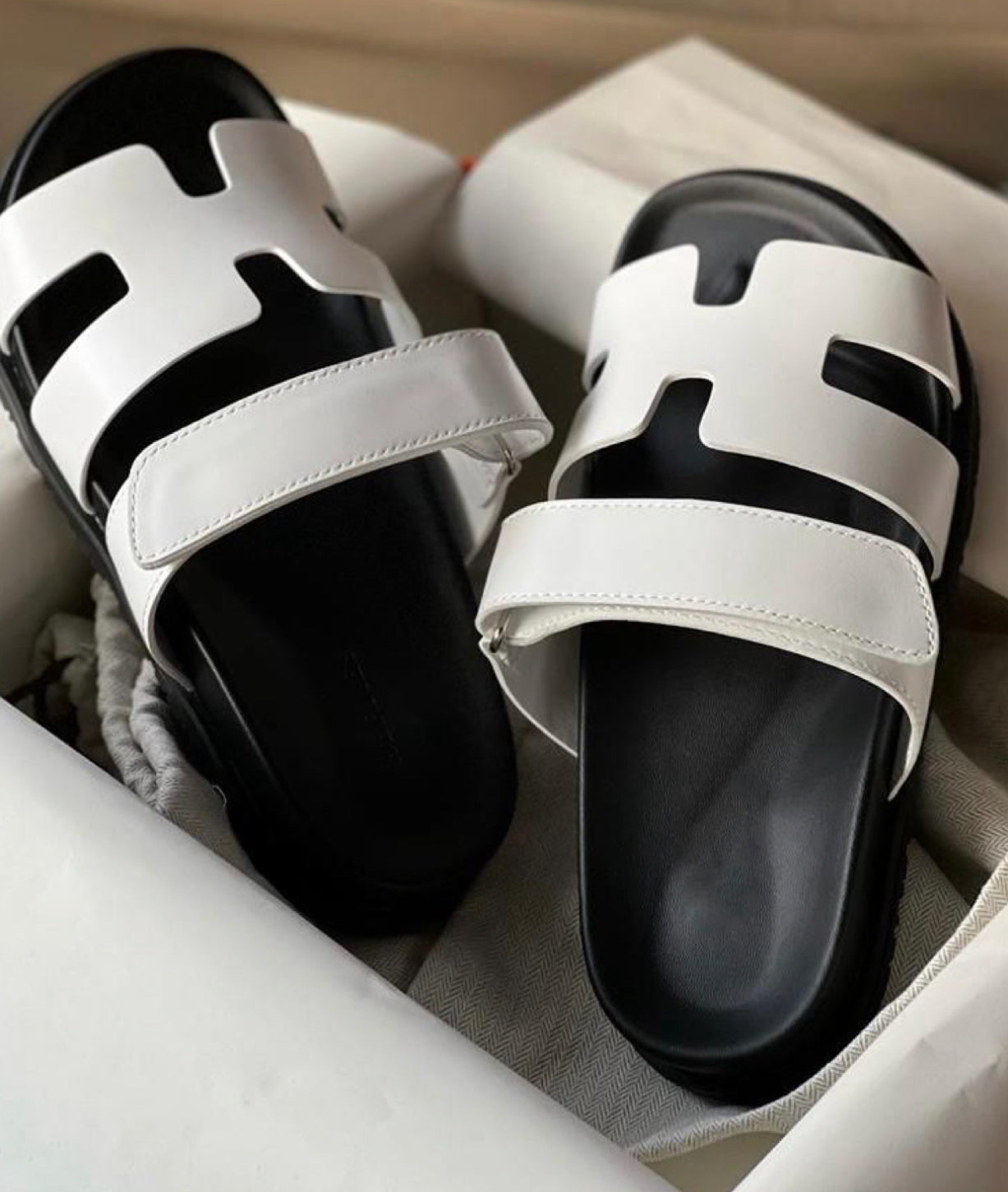 White and black slides