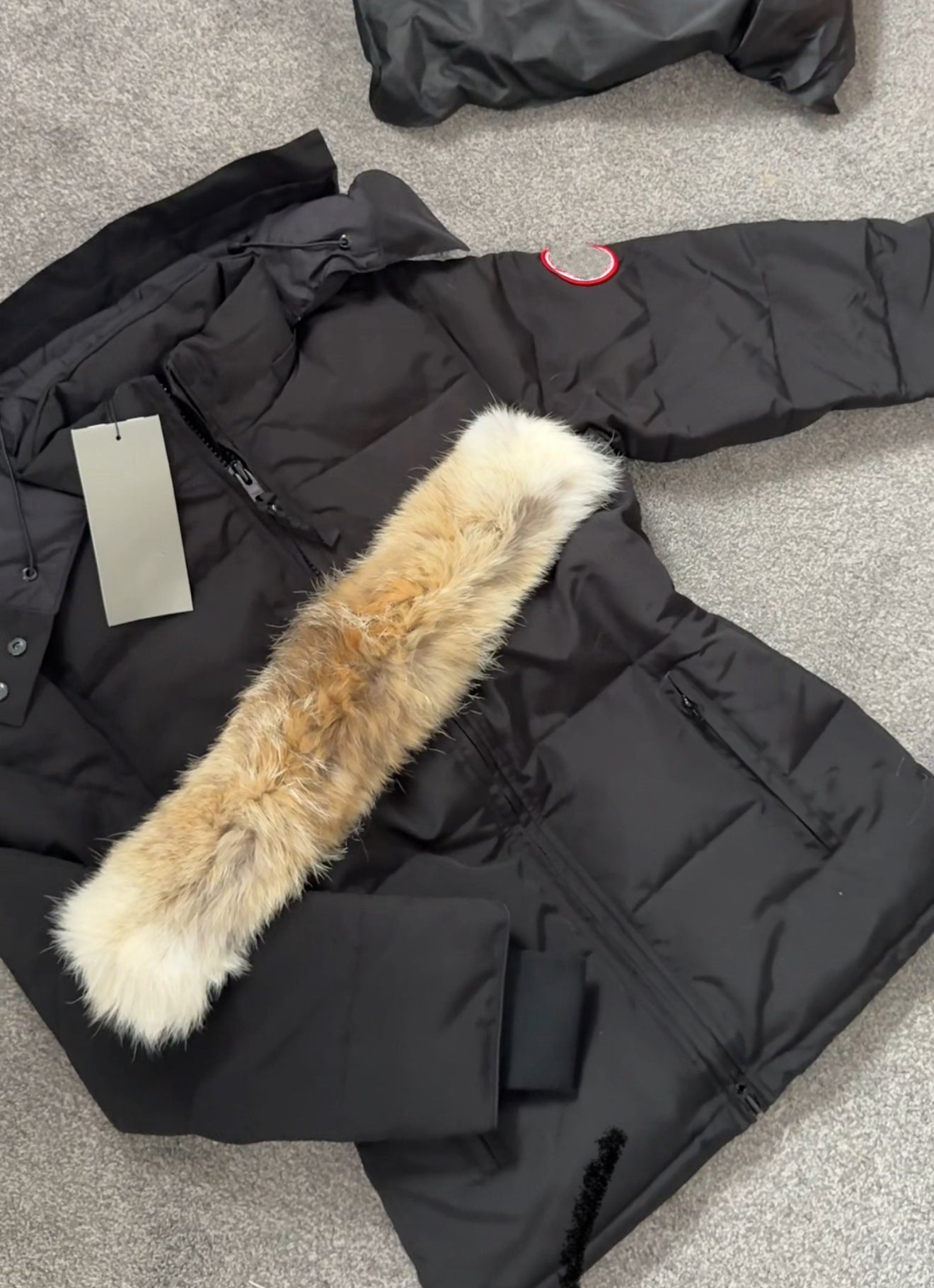 Black coat  (adjustable waist) baddie coat